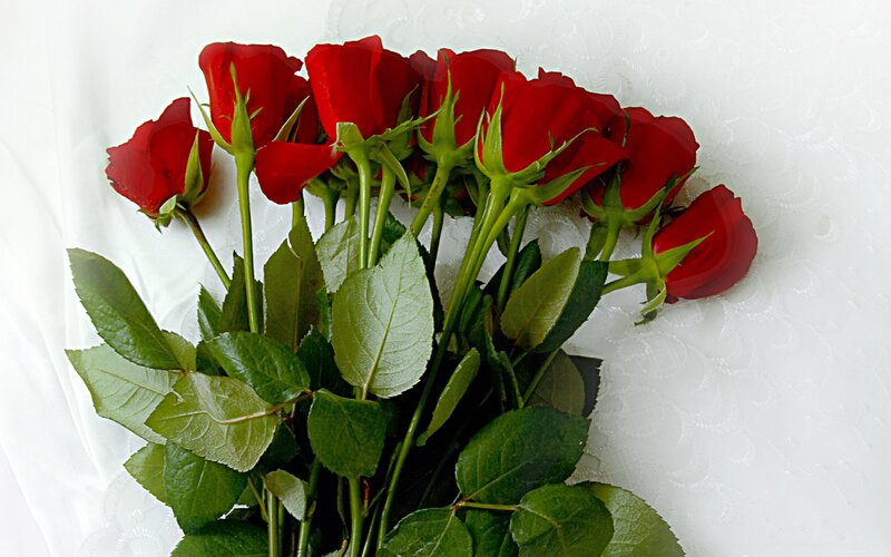 bouquet of red roses
