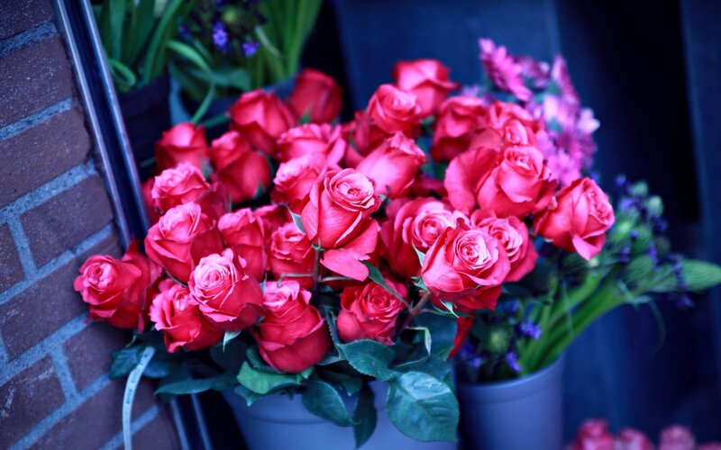Bouquet of red roses
