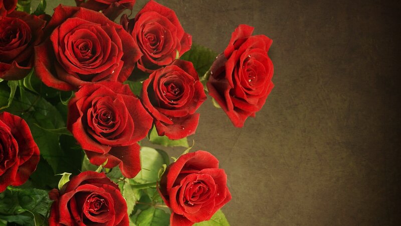 bouquet of red roses