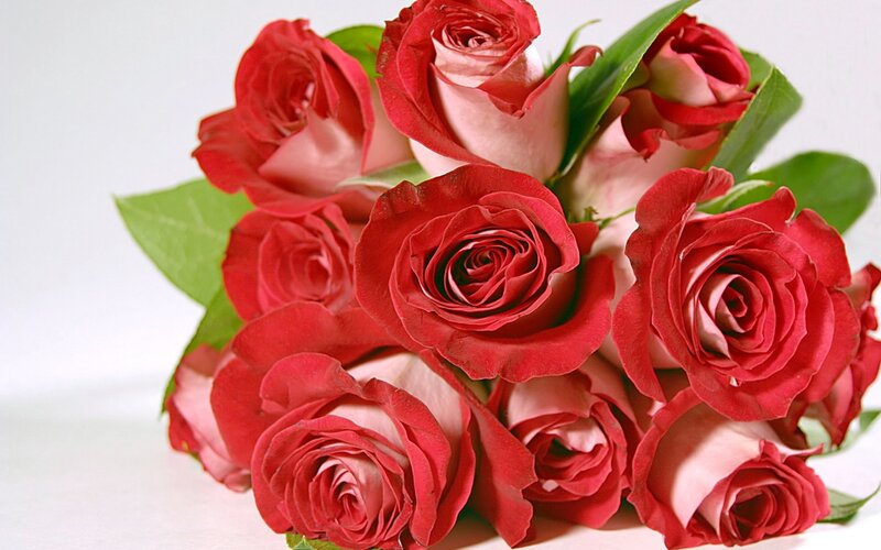 bouquet of red roses