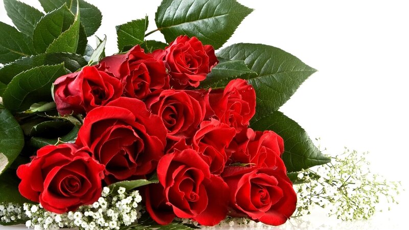 bouquet of red roses