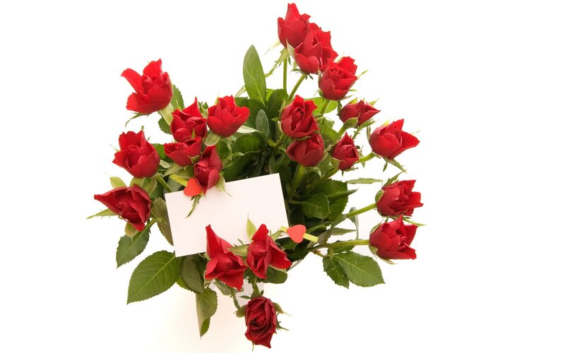 bouquet of red roses