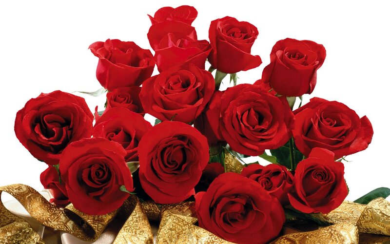 bouquet of red roses