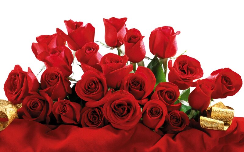 bouquet of red roses