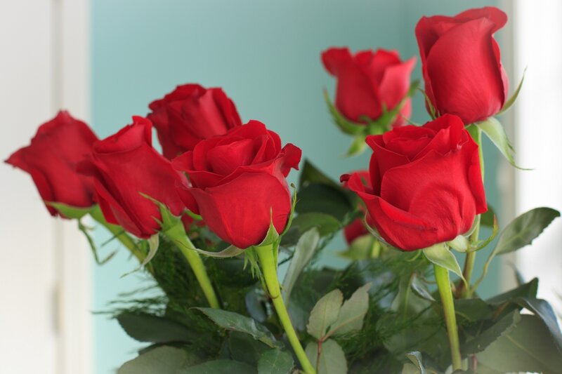 bouquet of red roses