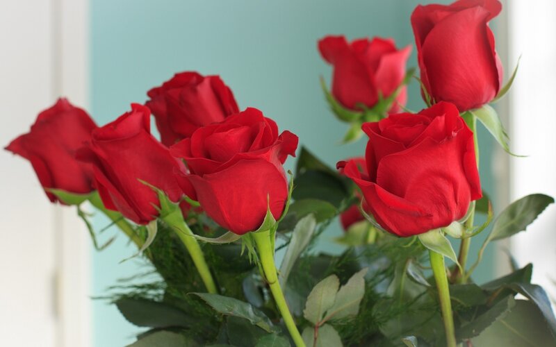 bouquet of red roses