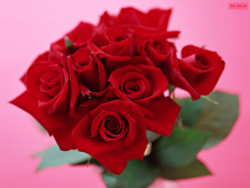 bouquet of red roses