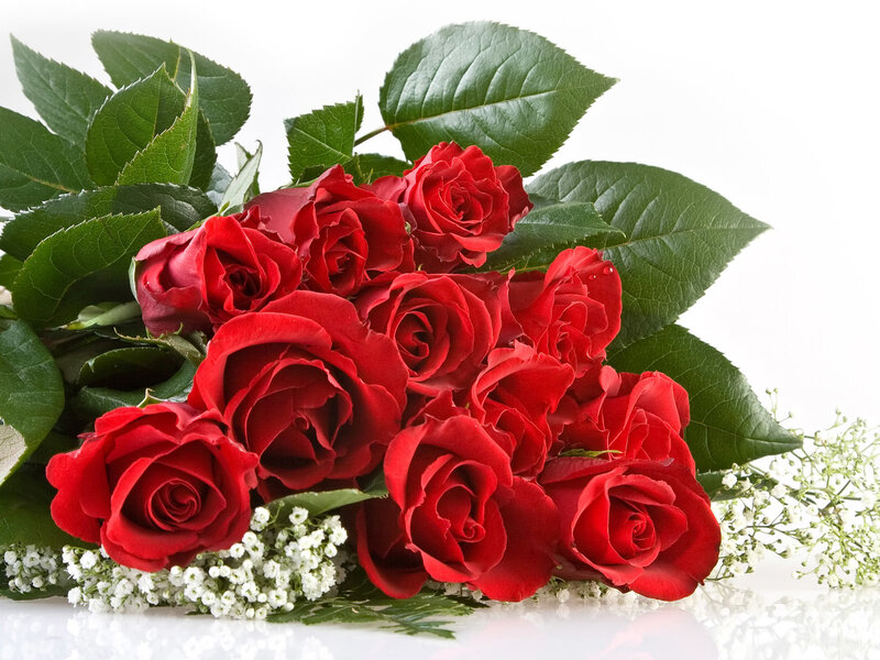 bouquet of red roses
