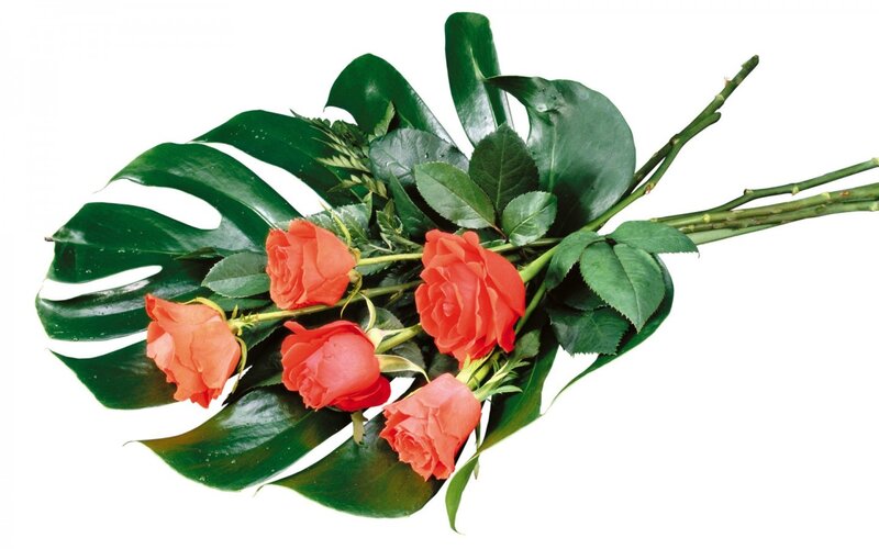bouquet of red roses