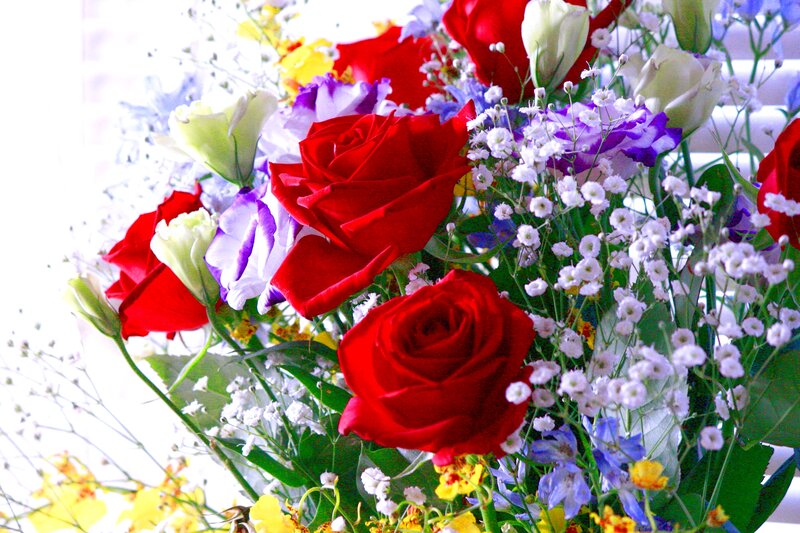 Bouquet of Red Roses — Bright, Afternoon, Photograph
