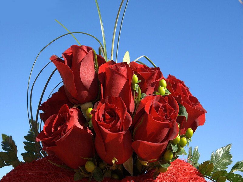 Bouquet of Red Roses — Bright