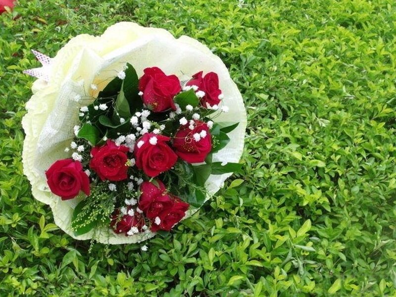 Bouquet of Red Roses — Calm, Afternoon, Photograph, Green Leaves, White Flowers
