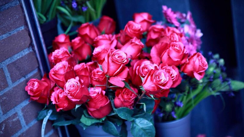 Bouquet of Red Roses — Calm, Night, Photograph
