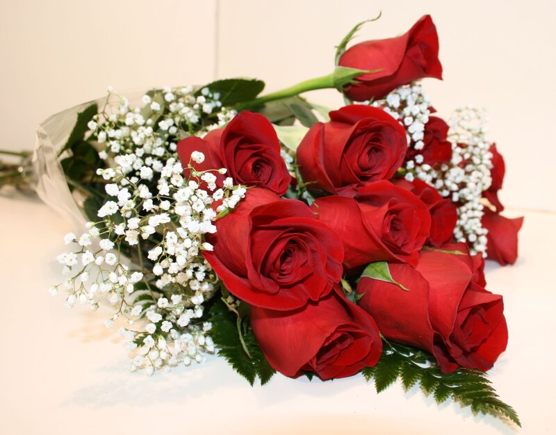 Bouquet of Red Roses — Calm, Photograph, Baby's Breath, Green Leaves, Clear Wrap