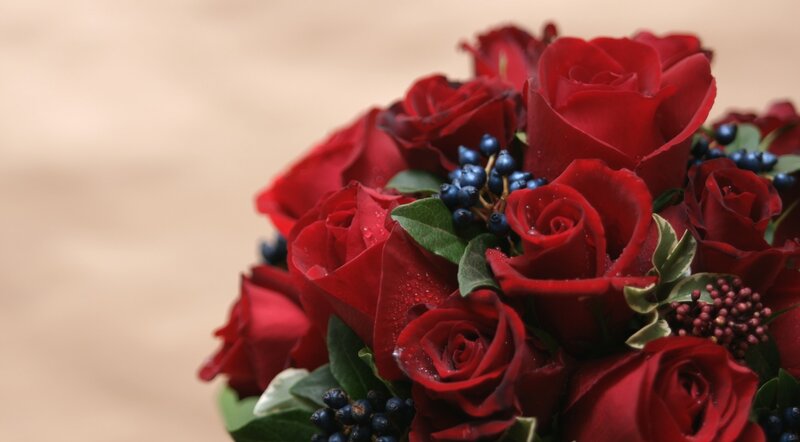 Bouquet of Red Roses — Calm, Photograph, Berries, Leaves