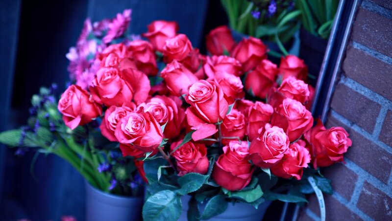 Bouquet of Red Roses — Calm, Photograph, Brick Wall