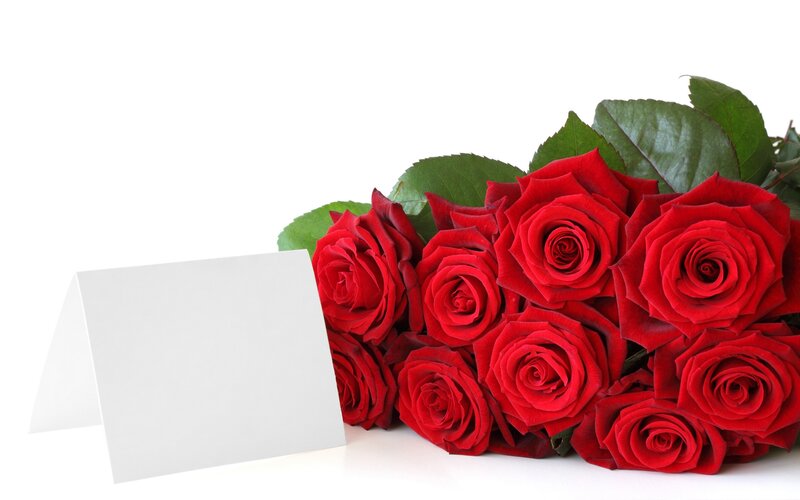 Bouquet of Red Roses — Calm, Photograph, Card