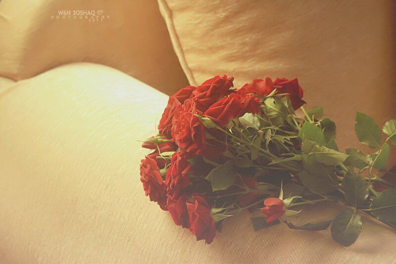 Bouquet of Red Roses — Calm, Photograph, Couch