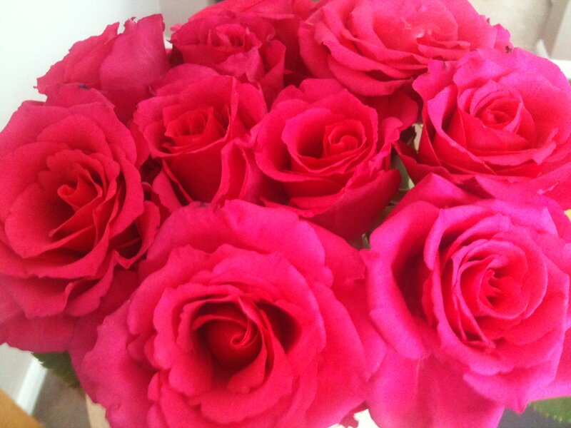 Bouquet of Red Roses — Calm, Photograph, Flowers, Green Leaves