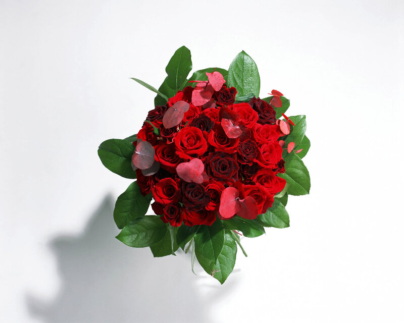 Bouquet of Red Roses — Calm, Photograph, Green Leaves, Eucalyptus, Red Flowers