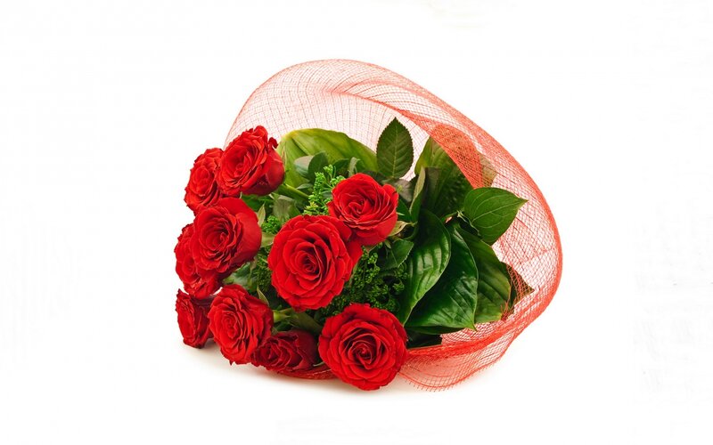Bouquet of Red Roses — Calm, Photograph, Green Leaves, Red Mesh Wrap