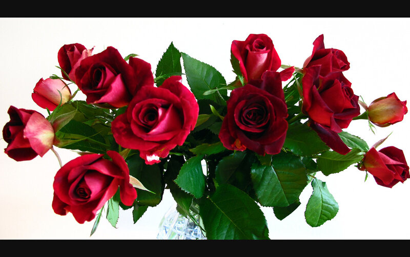 Bouquet of Red Roses — Calm, Photograph, Green Leaves, Vase