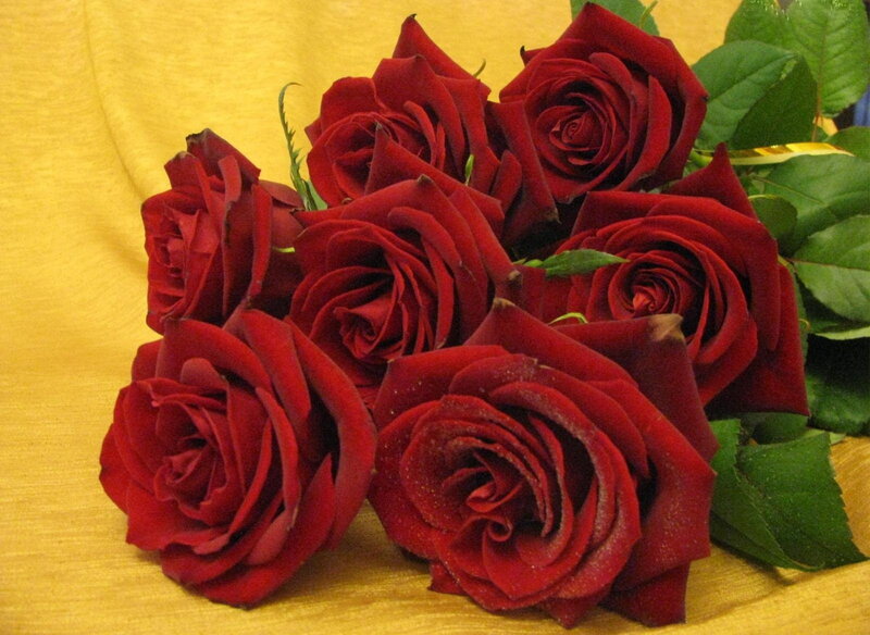 Bouquet of Red Roses — Calm, Photograph, Green Leaves, Yellow Fabric