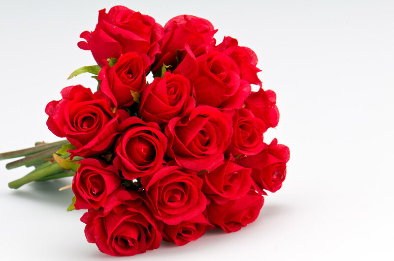 Bouquet of Red Roses — Calm, Photograph, Green Stems