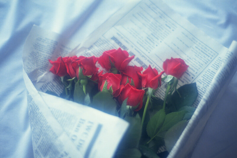 Bouquet of Red Roses — Calm, Photograph, Newspaper