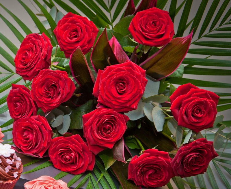 Bouquet of Red Roses — Calm, Photograph, Palm Leaves