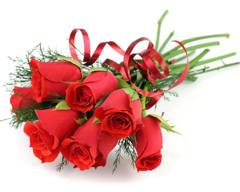 Bouquet of Red Roses — Calm, Photograph, Ribbon, Greenery, Stems, Green