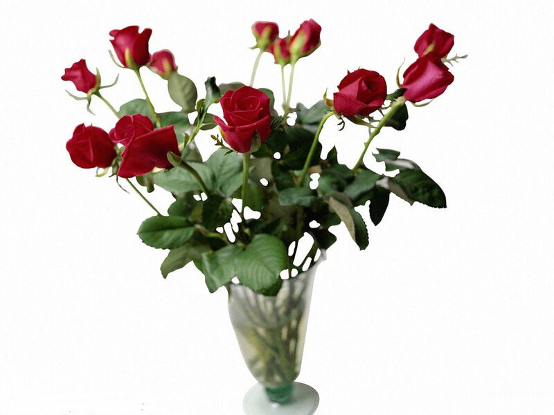 Bouquet of Red Roses — Calm, Photograph