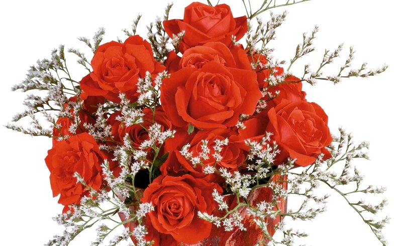 Bouquet of Red Roses — Calm, Photograph, White Filler Flowers, Green Stems