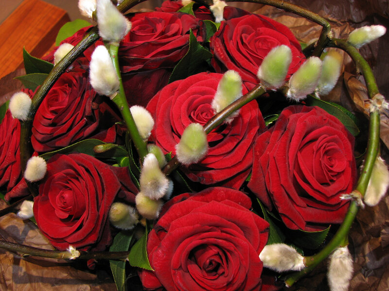 Bouquet of Red Roses — Calm, Spring