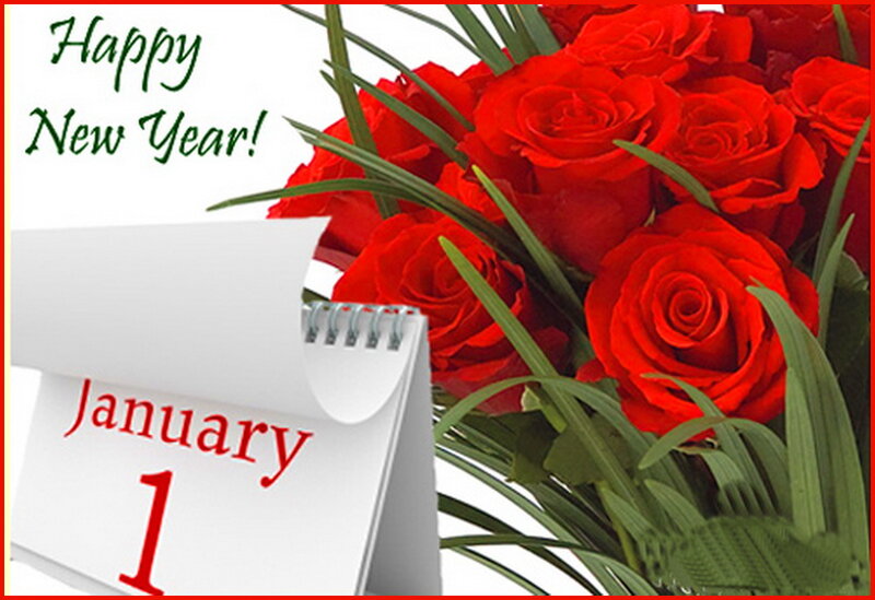 Bouquet of Red Roses — Celebratory, Photograph