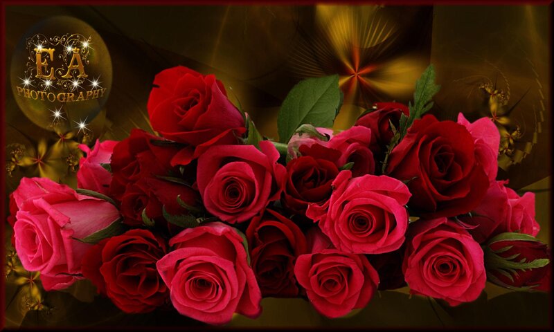 Bouquet of Red Roses — Dramatic, Digital Art