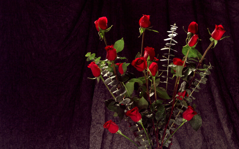 Bouquet of Red Roses — Dramatic, Photograph, Eucalyptus, Green Leaves