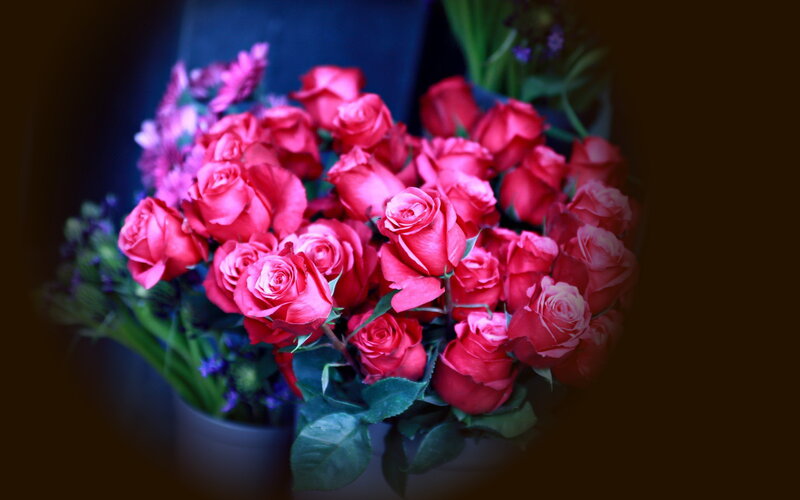 Bouquet of Red Roses — Dramatic, Photograph, Green Leaves, Purple Flowers