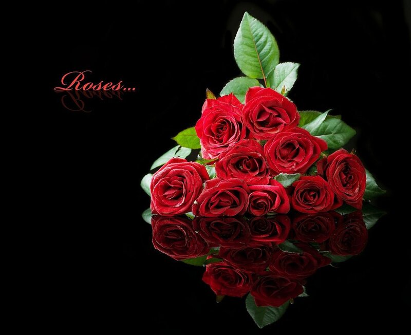 Bouquet of Red Roses — Dramatic, Photograph, Green Leaves, Reflection