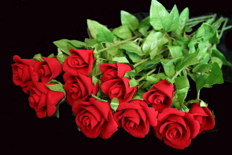 Bouquet of Red Roses — Dramatic, Photograph, Green Leaves