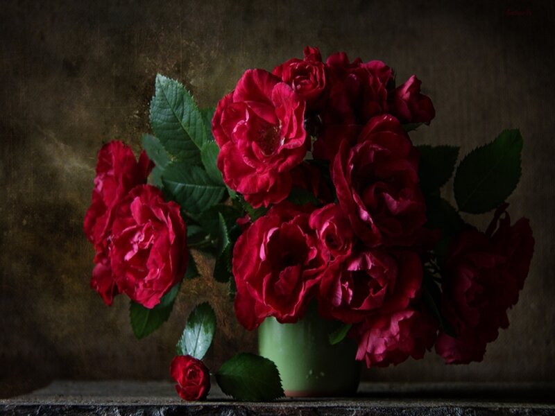 Bouquet of Red Roses — Dramatic, Photograph, Vase, Leaves