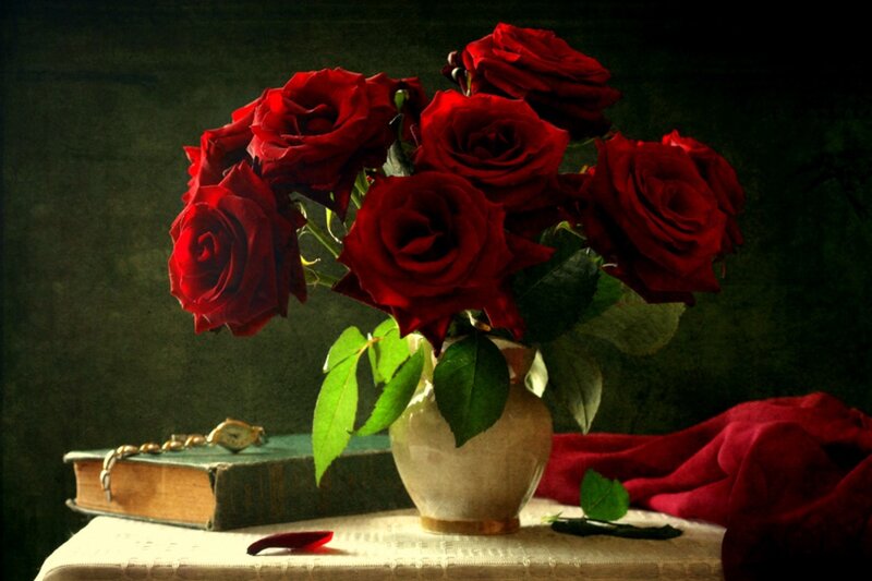 Bouquet of Red Roses — Dramatic