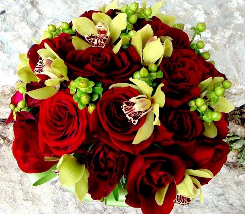 Bouquet of Red Roses — Elegant