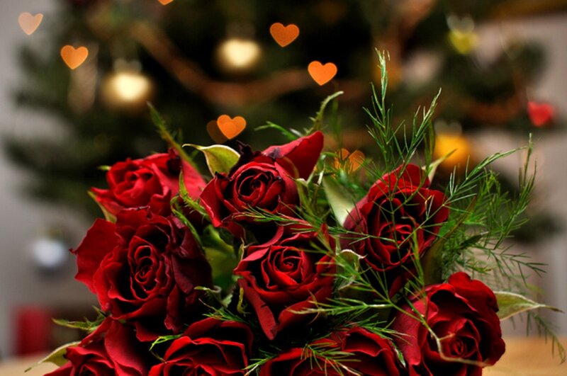 Bouquet of Red Roses — Festive, Winter