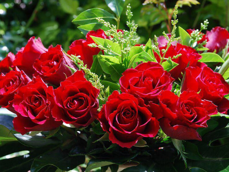 Bouquet of Red Roses — Natural