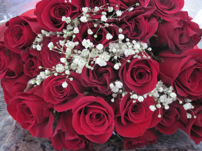 Bouquet of Red Roses — Romantic, Photograph, Baby's Breath, Plastic Wrap