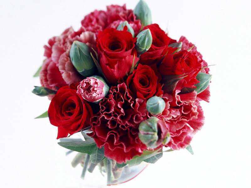 Bouquet of Red Roses — Romantic, Photograph, Carnations