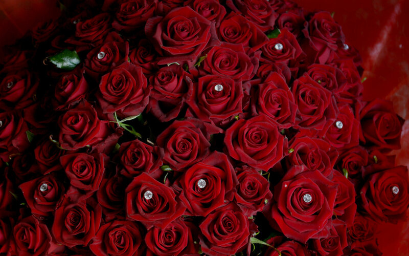 Bouquet of Red Roses — Romantic, Photograph, Diamonds