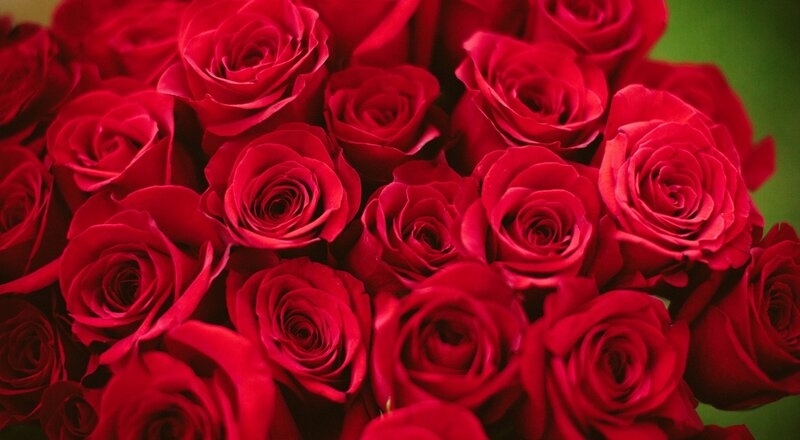 Bouquet of Red Roses — Romantic, Photograph, Green Background