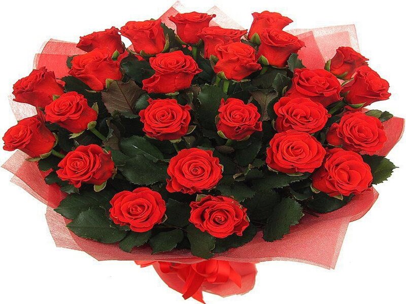 Bouquet of Red Roses — Romantic, Photograph, Green Leaves, Red Ribbon, Tissue Paper